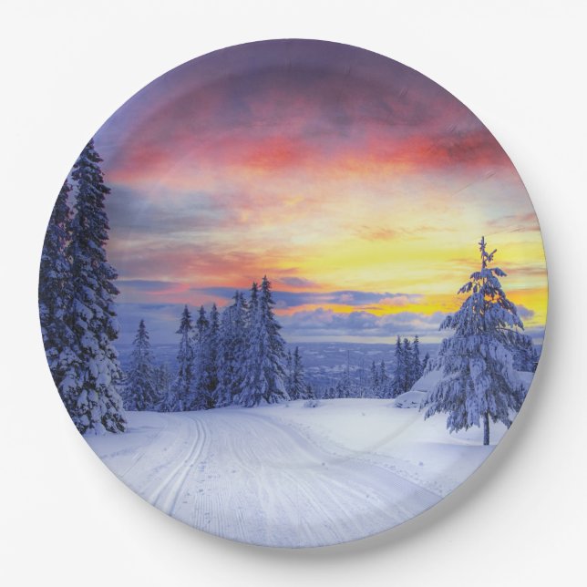 Winter scenery   paper plate (Front)