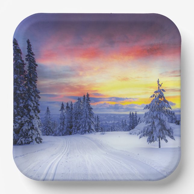 Winter scenery   paper plate (Front)