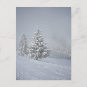 Winter Scenery Postcard