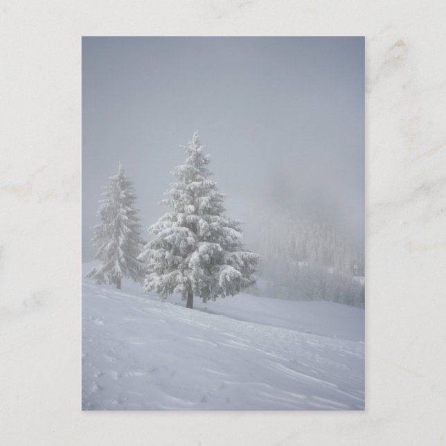 Winter Scenery Postcard (Front)