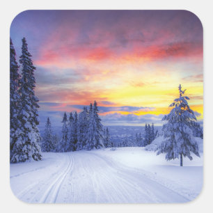 Winter scenery square sticker