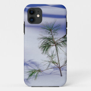 winter-scenes-108 iPhone 11 case