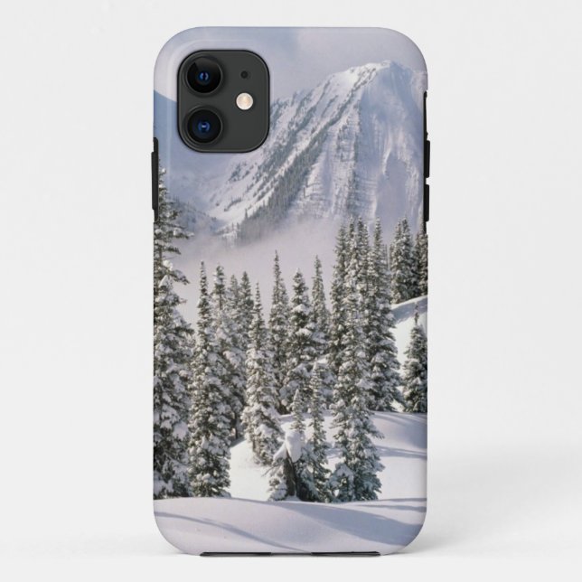 winter-scenes-66 Case-Mate iPhone case (Back)
