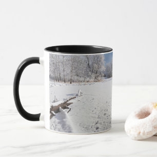 winter scenic along pond and forests of salem hill mug