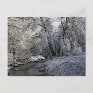 Winter Scenic Landscape Postcard