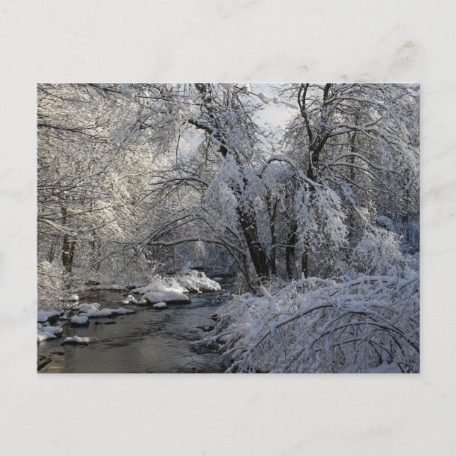 Winter Scenic Landscape Postcard (Front)
