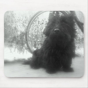 Winter Scottish Terrier Mouse Pad