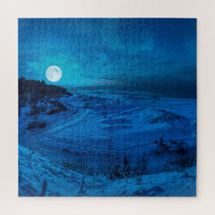 Winter sea coast in moonlight jigsaw puzzle