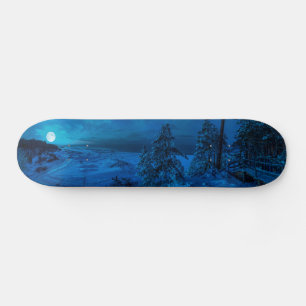Winter sea coast in moonlight skateboard