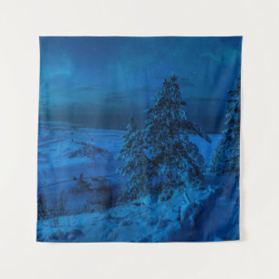 Winter sea coast in moonlight tapestry