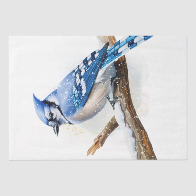 Winter Season Blue Jay Bird Tissue Paper (Front)