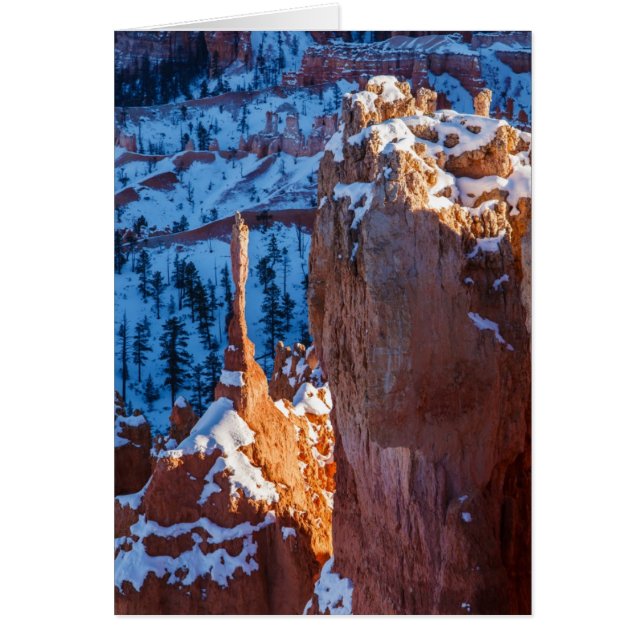 Winter Sentinel (Front)