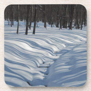 Winter Shadow Coaster