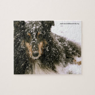 Winter Sheltie Jigsaw Puzzle