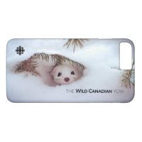 Winter - Short-Tailed Weasel