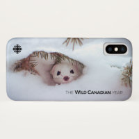 Winter - Short-Tailed Weasel