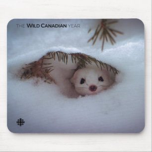 Winter - Short-Tailed Weasel Mouse Pad