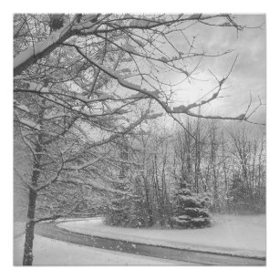 Winter Silence  Poster