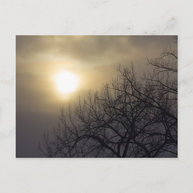 Winter Sky Over a Tree, Ohio Postcard (Front)