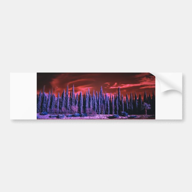 winter sky purple bumper sticker (Front)