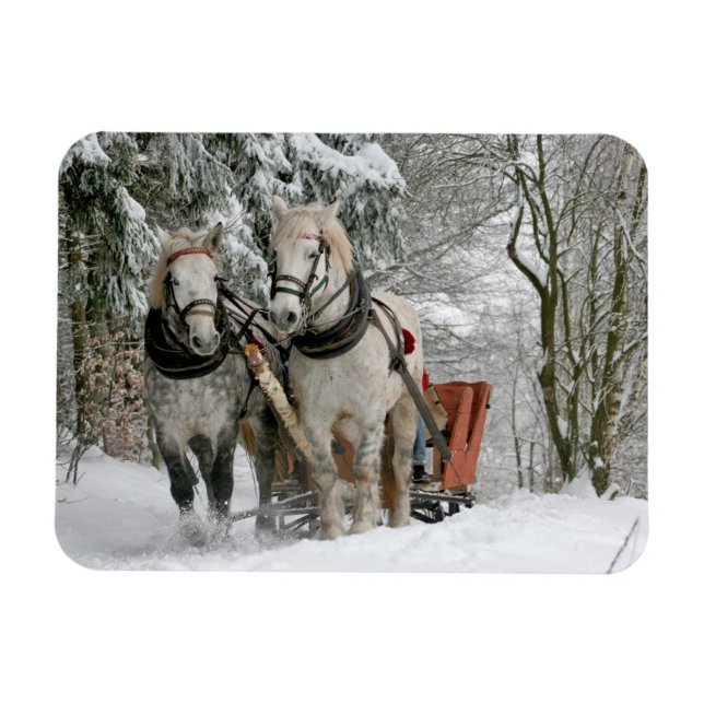 Winter Sleigh Ride Colour Image Magnet (Horizontal)