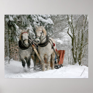 Winter Sleigh Ride Colour Image Poster