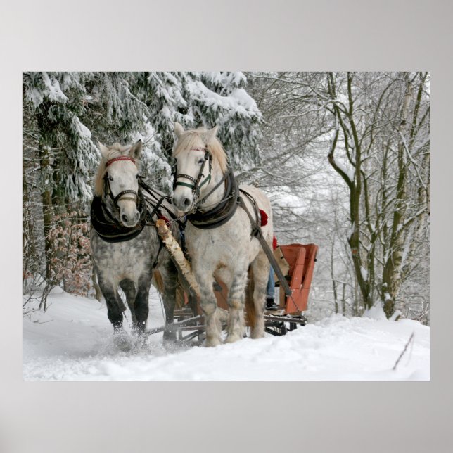 Winter Sleigh Ride Colour Image Poster (Front)