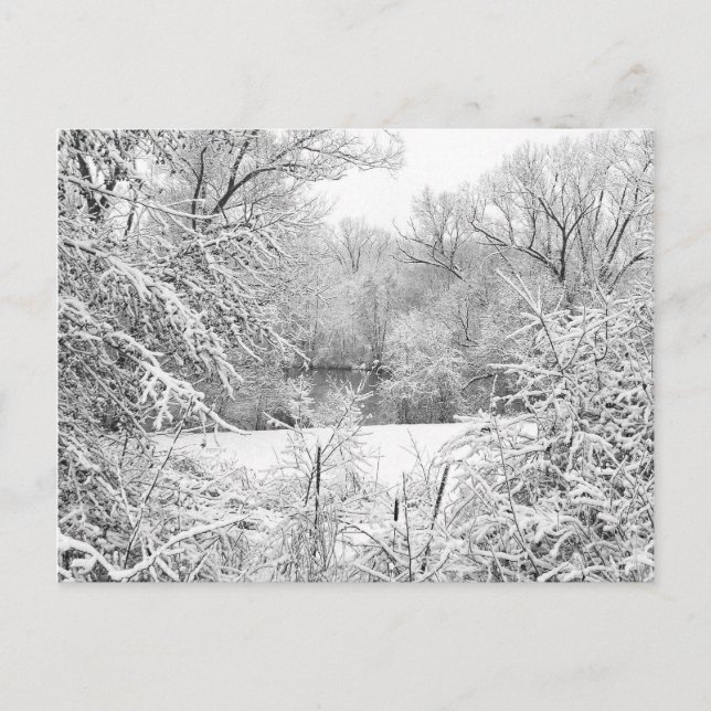 Winter Snow At Huron River Postcard (Front)