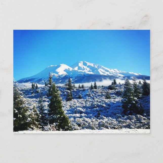 Winter Snow at Mount Shasta, CA Postcard (Front)