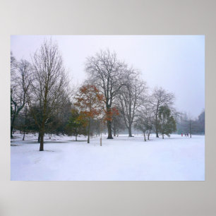 Winter Snow, Bute Park, Cardiff, Wales Poster