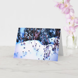 Winter Snow Flower Heads Trees Nature Card