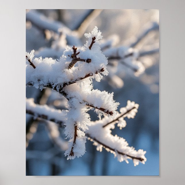 Winter Snow Frosty Tree Branch Sunlight Poster (Front)