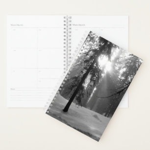 Winter Snow in Kings Canyon National Park Planner