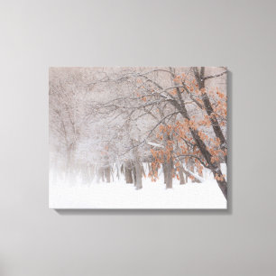 Winter Snow Lake Kussharo Canvas Print