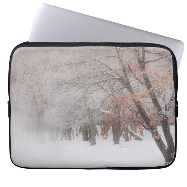 Winter Snow | Lake Kussharo Laptop Sleeve (Front)