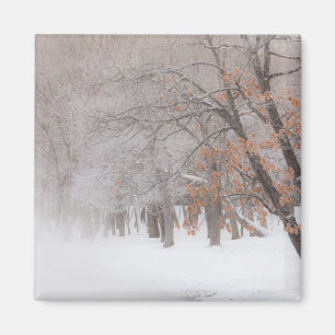 Winter Snow Lake Kussharo Magnet