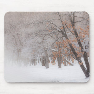 Winter Snow   Lake Kussharo Mouse Pad