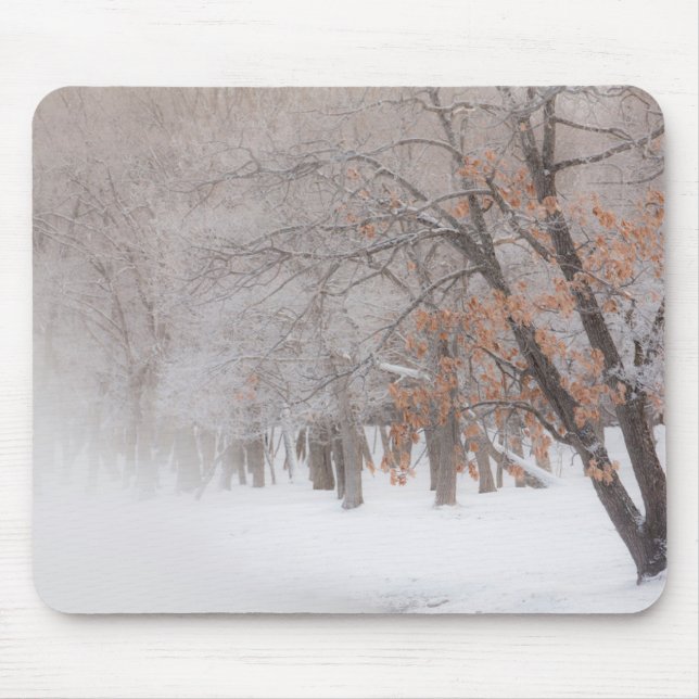 Winter Snow | Lake Kussharo Mouse Pad (Front)