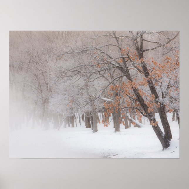 Winter Snow | Lake Kussharo Poster (Front)