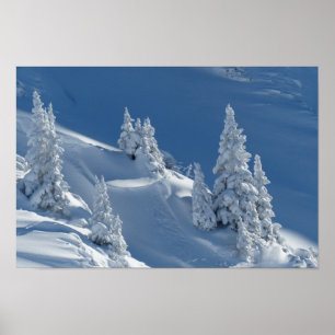 winter snow landscape poster