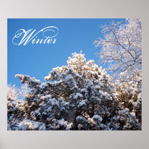 Winter Snow on Treetops Poster