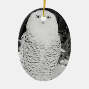 Winter Snow Owl Animal Wildlife Holiday Decoration