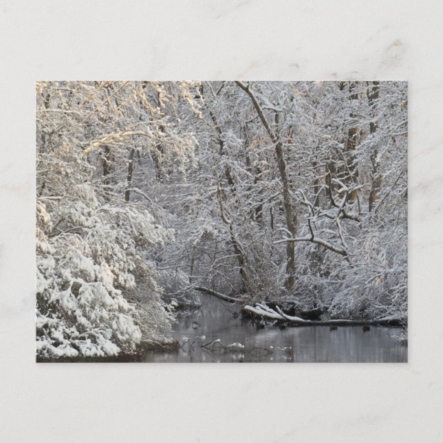 Winter Snow Peaceful Water Scene Postcard (Front)