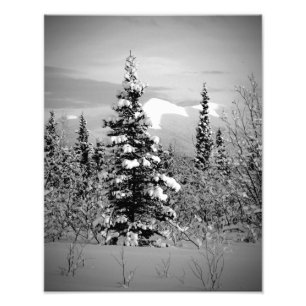 Winter Snow Photo Print