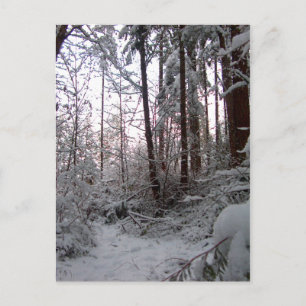WINTER SNOW SCENE by SHARON SHARPE Postcard