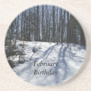 Winter Snow Scene-February Birthday Coaster