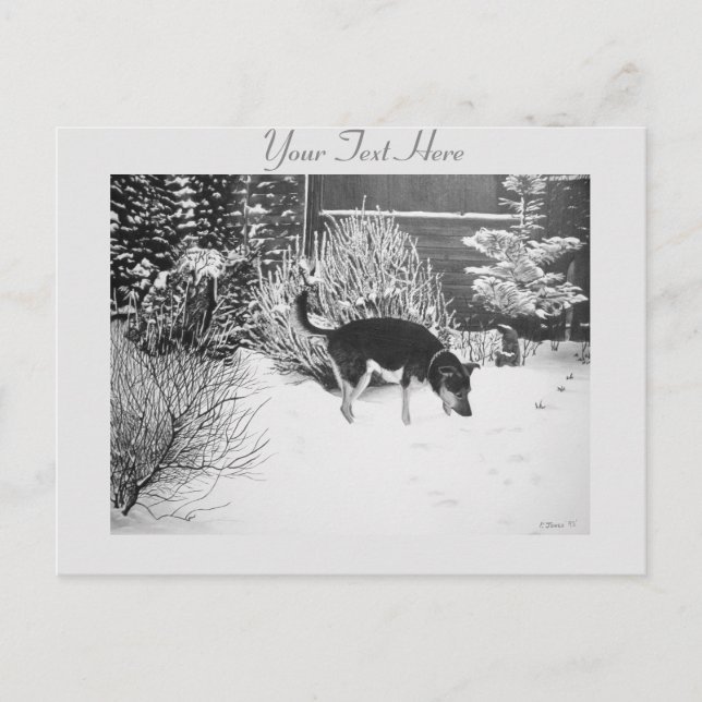 Winter snow scene with cute black and tan dog postcard (Front)