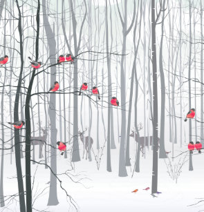 Winter Bird Shower Curtains Zazzle Com Au