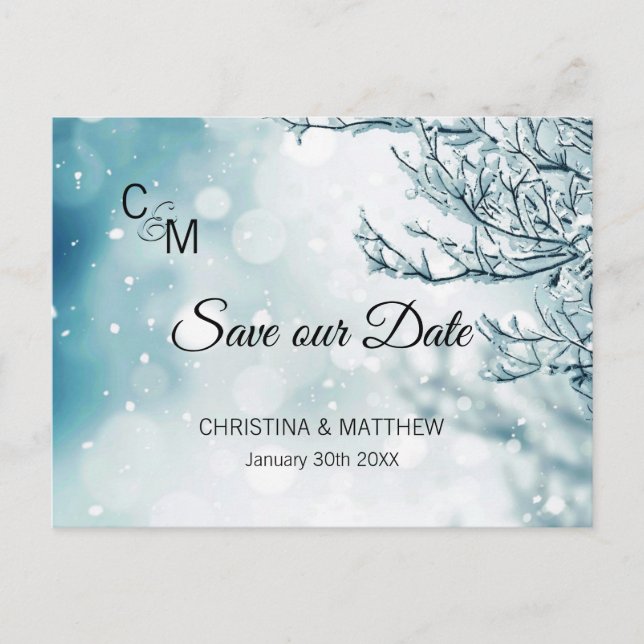 Winter Snow Snowflakes Wedding SAVE OUR DATE Announcement Postcard (Front)