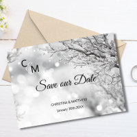 Winter Snow Snowflakes Wedding SAVE OUR DATE